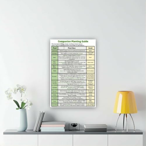 Companion Planting Guide Poster Plantings Types (6) - view 6
