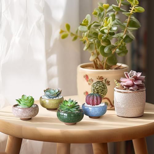 Mini Succulent Pots, Small Shallow Ceramic Pots, Retro Gift Set of 12 - view 3