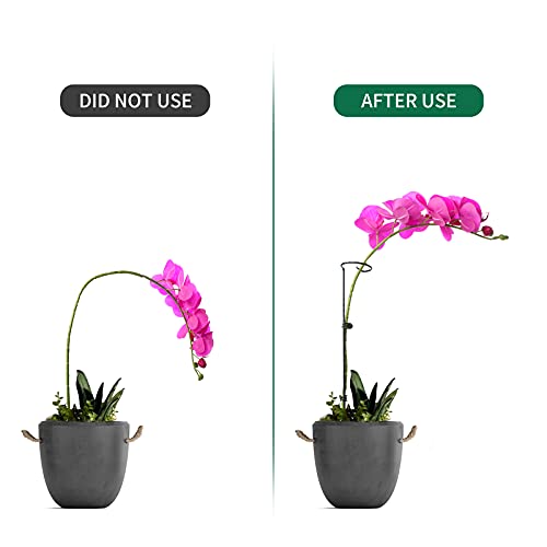 12 Pack Plant Support Stakes with 24 Pcs Plant Clips, Garden Single Stem Support Stake, Plant Cage Support Ring for Indoor Outdoor Flowers Rose Amaryllis Tomatoes Peony Lily Orchid (16 Inch) - view 3