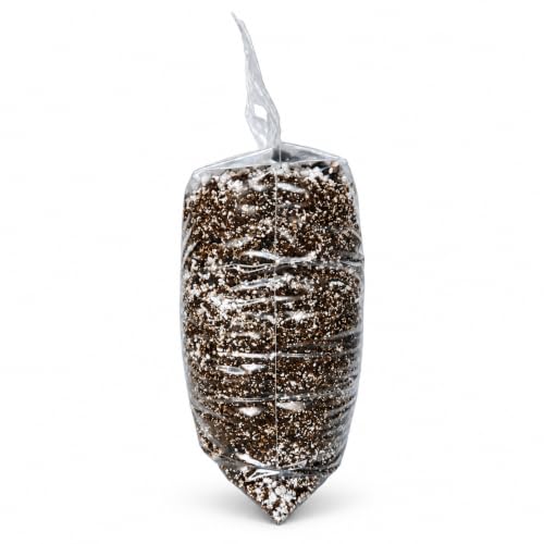 Christmas Cactus Imperial Potting Soil Mix - Mini Bag (2 Quarts) - view 2