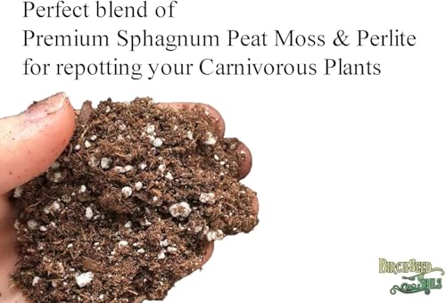 Carnivorous Plant Soil Mix – 1 Quart Bag – Premium Blend of Perlite & Peat Moss – Ideal for Venus Flytraps, Pitcher Plants, Sundews & Other Carnivorous Species – Ready to Use, Natural, Resealable Bag - view 3
