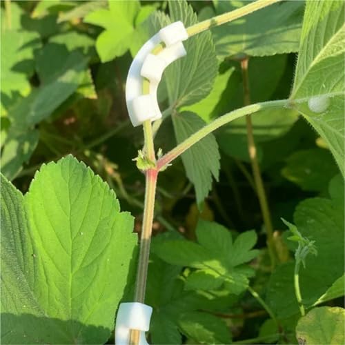Branch bender 150Pcs 90 Degree Branches Clips Fruit Tree Plant Vines Curving Shapers Twisting Styling Bonsai Curved Elbow Garden Tools for Plant Bonsai Garden Home(Green) - view 4