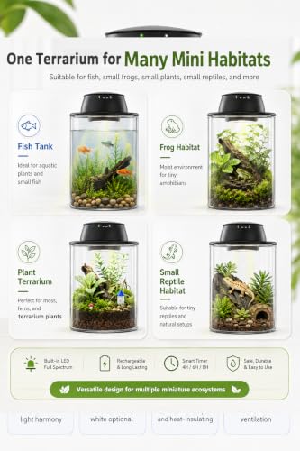 Plant Terrarium Kit with Rechargeable Grow Light 8", Gift for Mom (L) - view 6