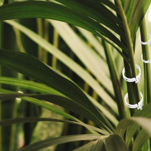 Plant Support Clips Reusable Garden Clips, Secured Plastic Plant Clips, Tomato Support Clips for String Trellis for Climbing Plants Outdoor Indoor Plant Flowers Stem Vine Fixing Clips (300, Green) - view 5