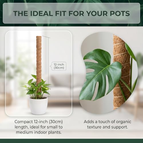 Bendable Coconut Pole Support Stakes, 30cm Flexible Moss Stick with 5mm Aluminum Core, Reusable Climbing Vine Training Frame for Green Plants - view 2