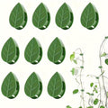 20 Pieces Plant Climbing Wall Fixture Clips with with Acrylic Adhesive Sticker Leaf Fixer Invisible Wall Vines Fixing Clips for Climbing Plants Plant Wall Climbing Clips for Wire Fixing, Green