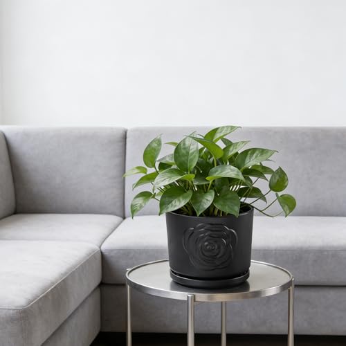 7 Inch Plant Pots for Indoor Plants, Modern Ceramic Glaze Planters, Round Flower Planter Pot with Drainage Hole and Saucer, Snake Plant Pot for Succulent, Orchid, Pothos,Gift for Plant, Black - view 3