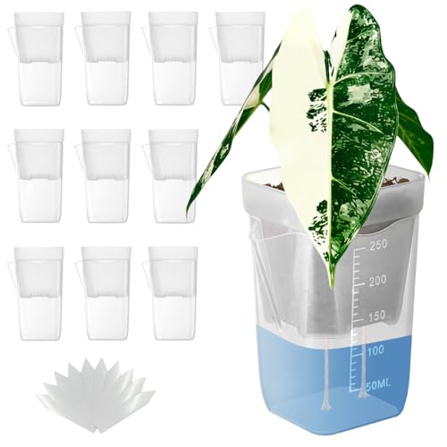 10 Pack 2.5 inch Clear self Watering pots for Indoor Plants