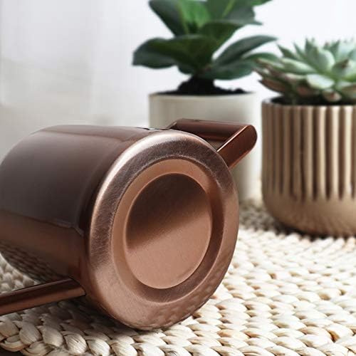 Mini Watering Can, 10oz/300ml Stainless Steel Long Spout Small Watering Can for Indoor Plants Succulents, Herbs (Bronze) - view 6