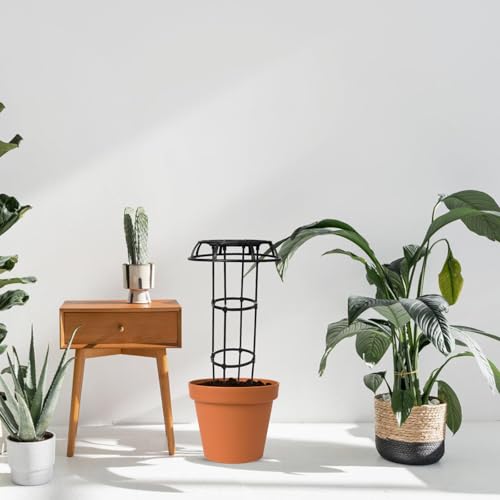 Indoor Trellis Plant Support Rack Φ25.4 Plastic Coated Metal Frame Black - view 4
