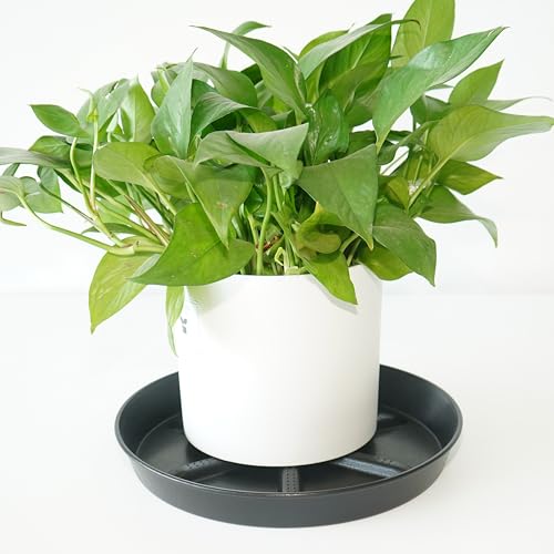 Plant Saucer 6 Inch 4 Pack,Thick Plastic with Raised Center Design Plant Saucers 8 10 12 14 17, Superior Drainage Drip Tray for Indoor Outdoor Planters (6 inch) - view 5