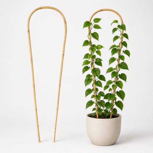 24in Natural Bamboo U-Hoop Trellis for Climbing Plants, 10 PCS