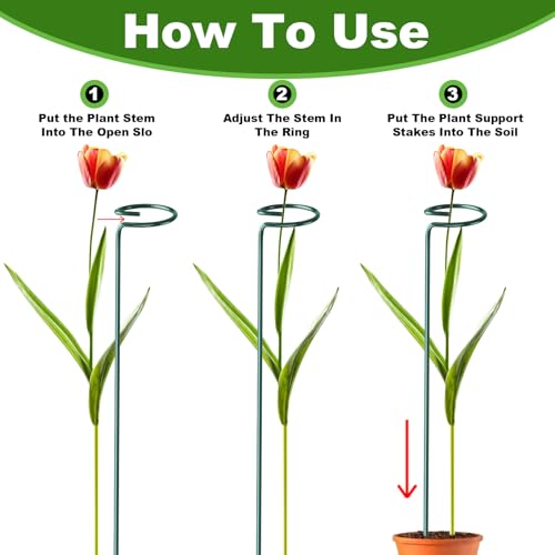 24 Pack Plant Support Stakes, 16 Inch Metal Garden Plant Stakes Single Stem Support Rings for Indoor Outdoor Amaryllis, Flowers Orchid, Lily, Peony, Rose, Tomato, Monstera, Narcissus - view 5