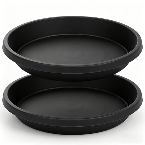 2 Pack Plant Saucer 8 Inch, Drip Trays for Potted Plants, Flower Pot Saucers Plant Trays for Pots, Plastic Planter Tray for Indoors, Plant Drainage Saucer Birdbaths for Outdoors