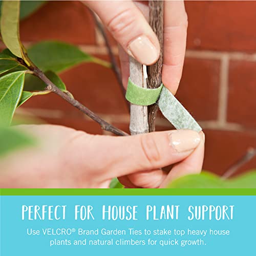 ONE-WRAP Garden Ties, for Plant Support, 50 Ft x 1/2 in - view 5