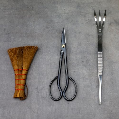 Japanese Bonsai Garden Tool Starter Kit, Satsuki Scissors - view 4