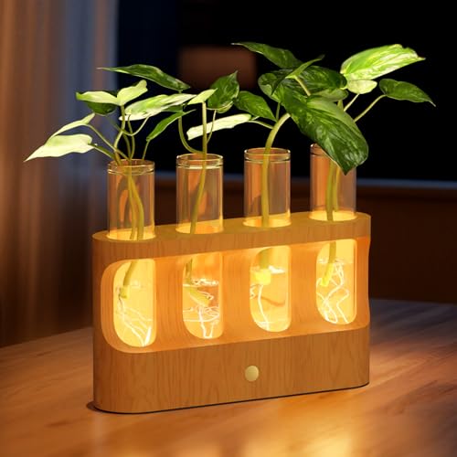 Rechargeable Plant Propagation Station, LED Hydroponic Terrarium