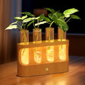 Rechargeable Plant Propagation Station, LED Hydroponic Terrarium