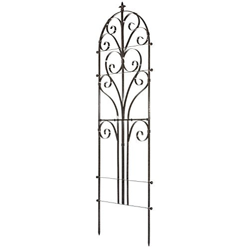 Scroll Garden Trellis 73.5"H, Freestanding Heavy Duty Iron 34 lbs