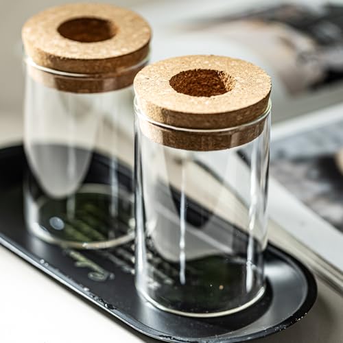Glass Plant Propagation Station Set of 6, Modern Desktop Flower Vase for Succulent Cuttings, Home Office Decoration, Ideal Housewarming Gift for Living Room, Bedroom - view 6