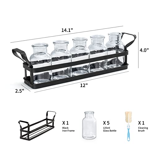 Propagation Stations, 5 Jars Desktop Glass Plant Terrarium with Stand - view 3