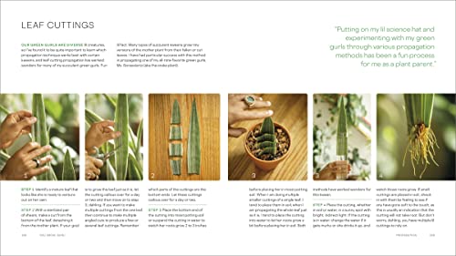 You Grow, Gurl!: Plant Kween's Lush Guide to Growing Your Garden - view 7