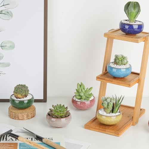 Mini Succulent Pots, Small Shallow Ceramic Pots, Retro Gift Set of 12 - view 5