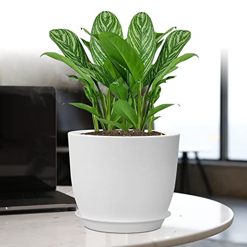 12/10/9 Large Plant Pots, Plastic Planters with Drainage Holes and Saucers for Indoor Outdoor Plants Flowers, White - view 7