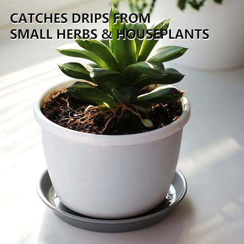 6 Pack 8 Inch Gray Plant Saucers, Heavy Duty PP Water Catcher Trays - view 4