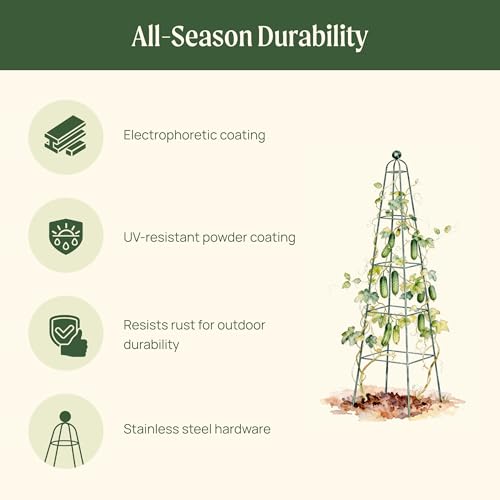 6.5 ft Pyramid Obelisk Garden Trellis, Metal Rustproof Plant Support Rose Trellis, Tower Potted Cages for Flowers Fruits Vegetable Vines Indoor & Outdoor - view 2
