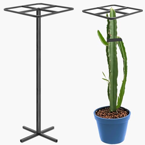 Metal Dragon Fruit Trellis 61",Adjustable Dragon Fruit Plant