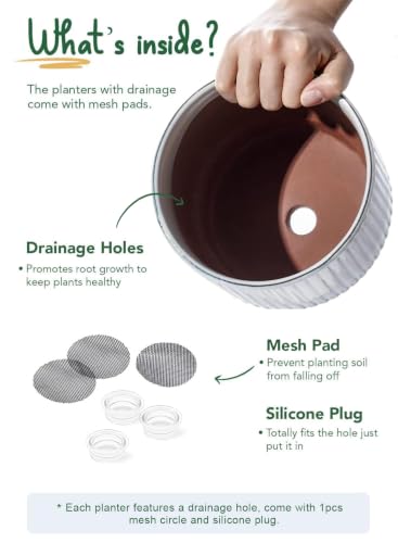 Ceramic Pots for Plants, 8+6.7+5.5 Inch Plant Pots Indoor, Flower Pot with Drainage Holes, Medium Cylinder Planters for Indoor House Plants, Set of 3, Reactive Glaze White - view 6