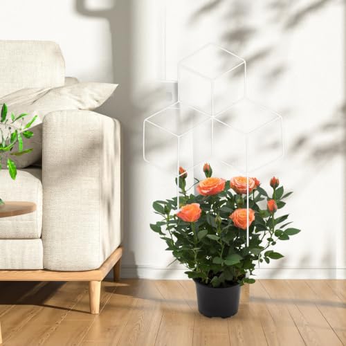 Hexagon Metal Plant Trellis for Climbing Plants Garden Pot Support - view 6