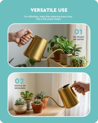Indoor Watering Can for House Plant & Small Bonsai (1L, Brass Gold) - view 4