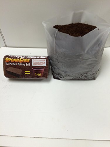 Pro Coco Coir Brick - Each brick makes 2 Gallons Organic Coco Coir Potting Soil for All Plants, Cuttings, Seedlings and Seeds (650 grams) - view 2