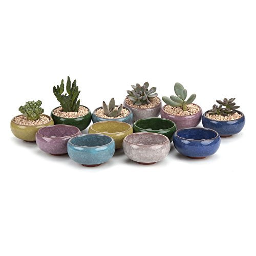 Mini Succulent Pots, Small Shallow Ceramic Pots, Retro Gift Set of 12