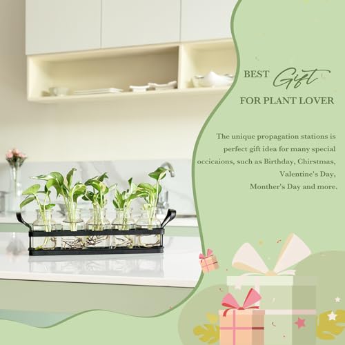 Propagation Stations, 5 Jars Desktop Glass Plant Terrarium with Stand - view 5