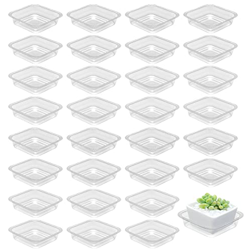 30 Pack Plant Saucers for Indoors 4 Inches Plant Trays for Pots Plastic Trays for Plants Square Plant Drip Trays for Potted Plants Flower Pot Saucers Clear Plant Plates to Catch Water, Bulk