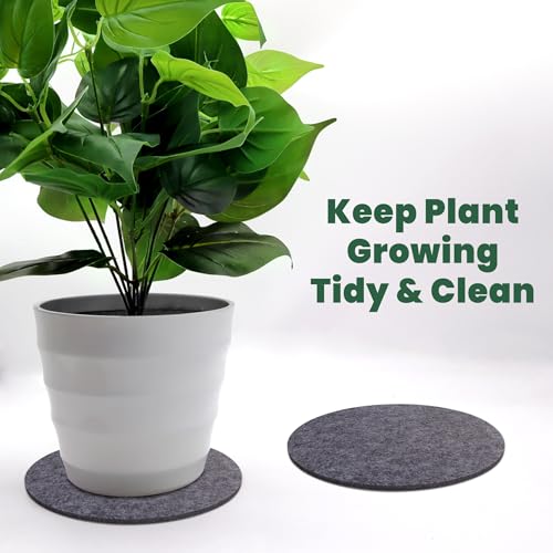 Felt Plant Coasters, 8 Inch 8 Pcs - view 5