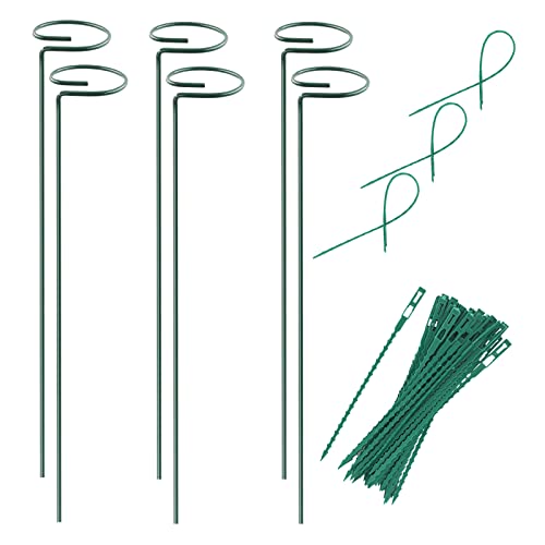 Plant Stake Support - 6 Pack, Garden Single Stem Support Stake 15.9 inch