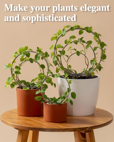 3 Pack Small Round Hoya Trellis, Indoor Climbing Houseplant Trellis, Black - view 3