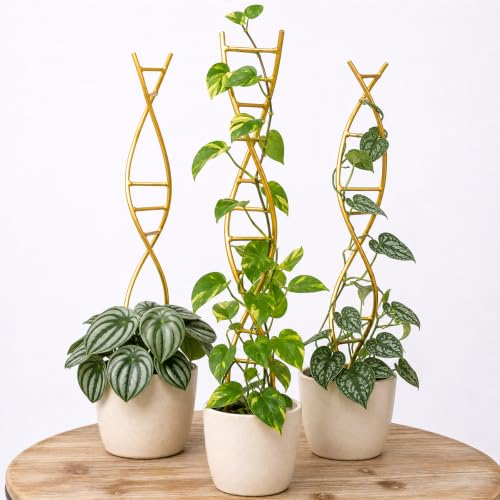 3PCS DNA Plant Trellis Indoor & Outdoor,Metal Trellis for Pots