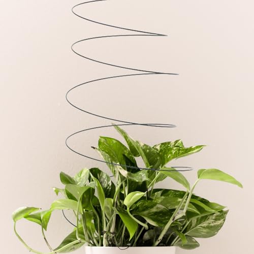 2pcs Spiral Vegetable Plant Support Cage, Tomato Trellis Ring - view 5