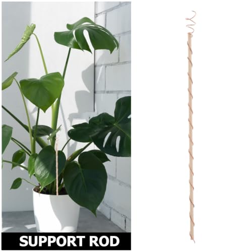 Adjustable Copper Coil Plant Support Stake for Climbing Garden Plants - view 3