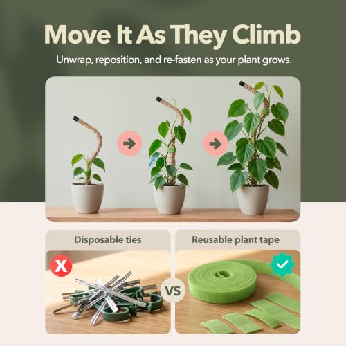 Plant Tape 10 ft, Reusable Hook & Loop Ties for Climbing Plants - view 5