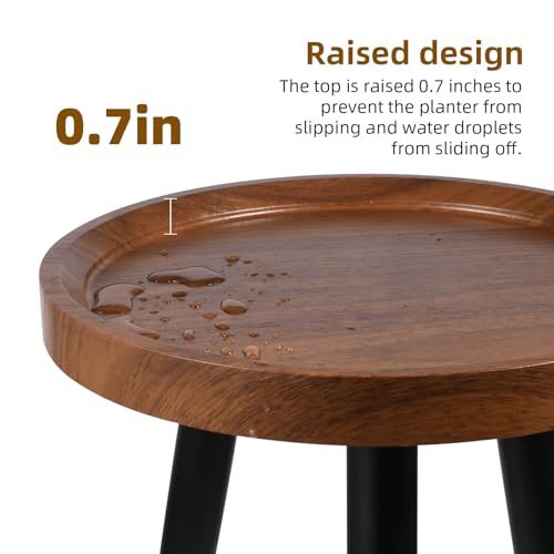 Indoor Plant Stand with Raised Design, End Table with Metal Tall - view 4