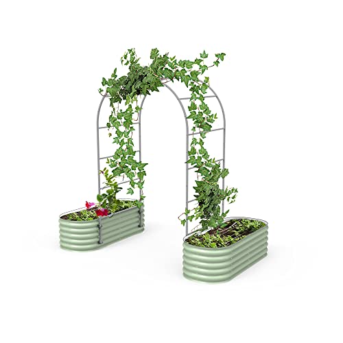 Modular Arched Trellis System Single Section 3.0' Long Trellis for Classic Garden Bed for Climbing Plants Like Cucumber Beans Tomatoes & Vines (Garden Beds Not Included)
