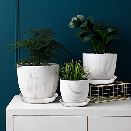 6 Pack Plant Saucer, 4 6 8 10 12 Inch Heavy Duty Plastic Flower Pot Water Catcher Tray Round Drip Pallets for Indoors and Outdoor Planter Container Accessories (6 Inch, White) - view 6