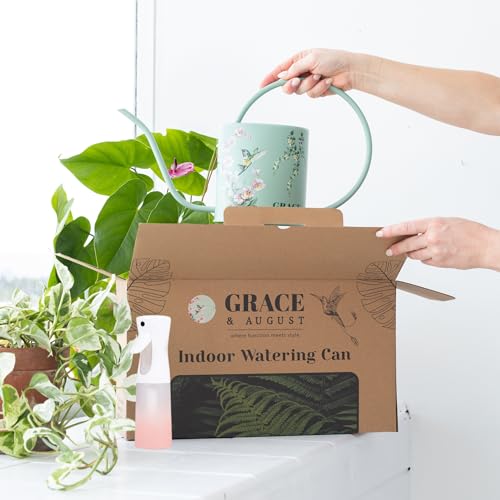 Indoor Watering Can & Mist Spray Bottle Set for Indoor Plants - Decorative - view 3