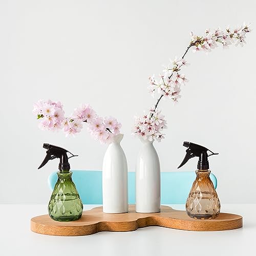 2 Pcs Spray Bottles, 500 ml/17 oz Empty Water Spray Bottles, Plastic Reusable Adjustable Mist Sprayer Squirt Bottles Containers Refillable for Cleaning Solutions, Gardening, Plants - view 3